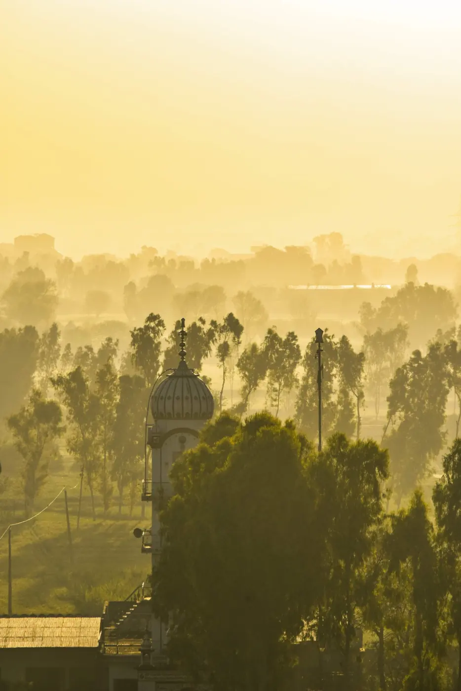 A white dome and tall trees rising out of golden morning mist